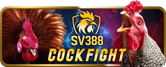 Thương hiệu uy tín win68 link vào